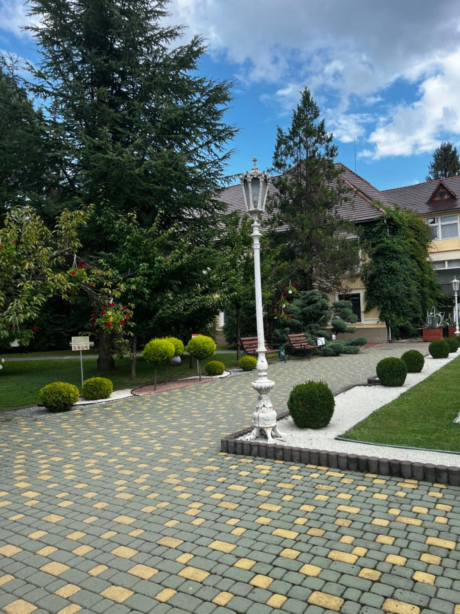 Apartment At Kvitka Polonyny Солочин Екстериор снимка